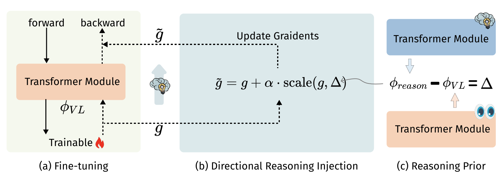 DRIFT: Transferring Reasoning Priors for Efficient MLLM Fine-Tuning
